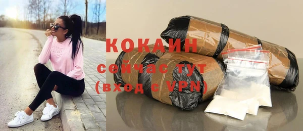 прущие грибы Богородицк