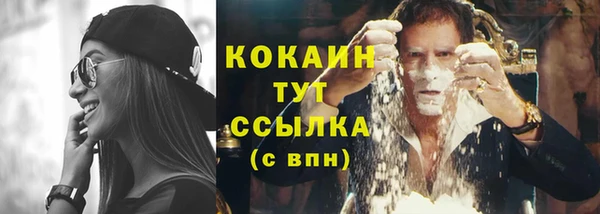 сатива Богданович