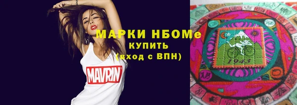 прущие грибы Богородицк