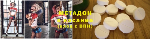 прущие грибы Богородицк