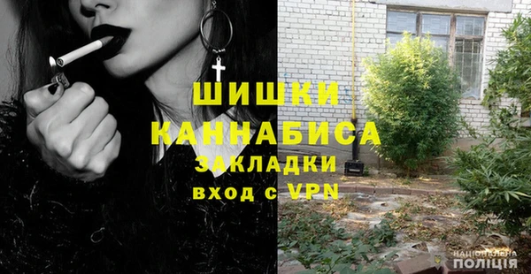 сатива Богданович