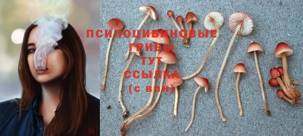 каннабис Богородск