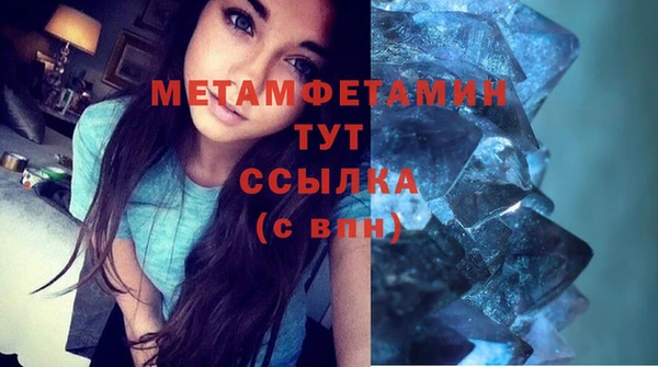 прущие грибы Богородицк