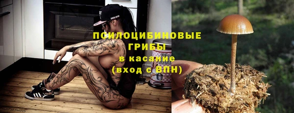 прущие грибы Богородицк