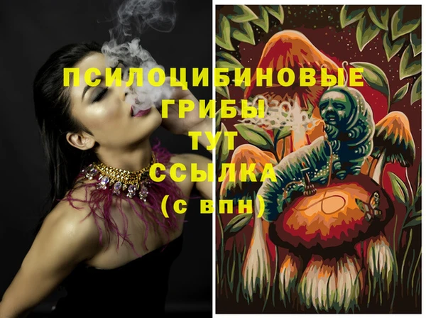 прущие грибы Богородицк