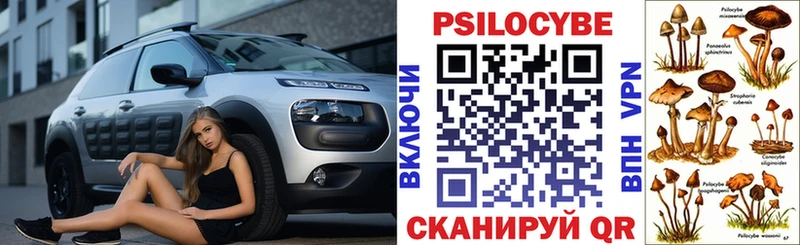 Галлюциногенные грибы GOLDEN TEACHER  Бородино 